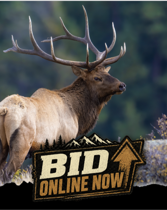Example Chapter Lodge social media graphic featuring an elk and a Bid Online Now frame